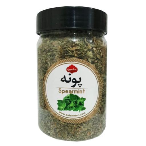پونه خشک سالمین